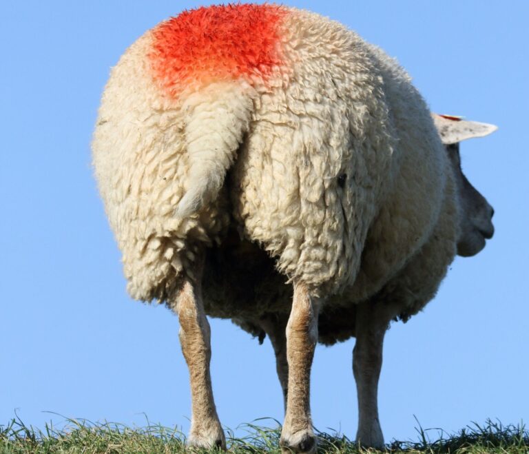 The ultimate writing machine