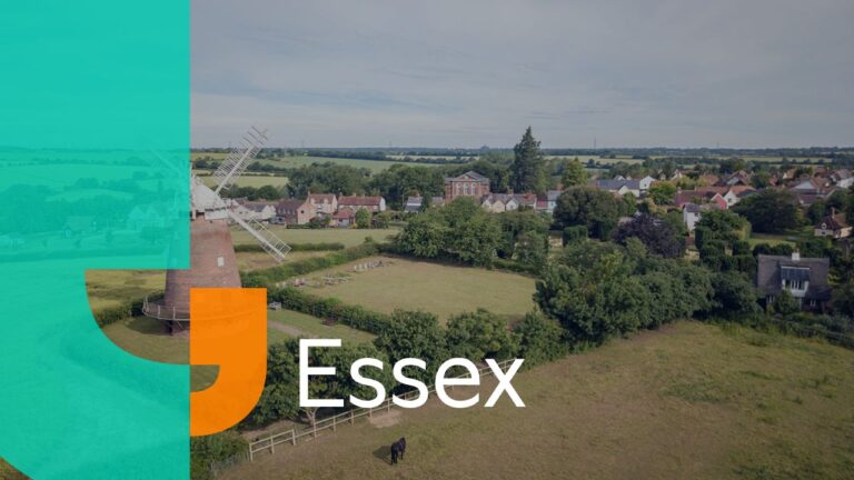 Writers of Essex interim meet-up