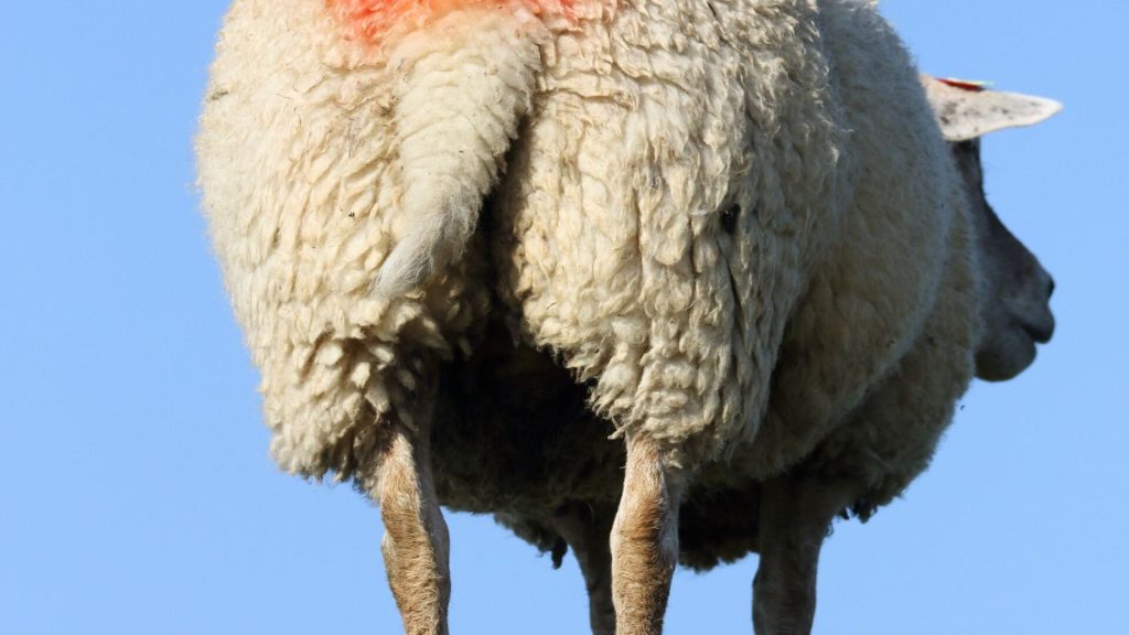 AdobeStock_288194967