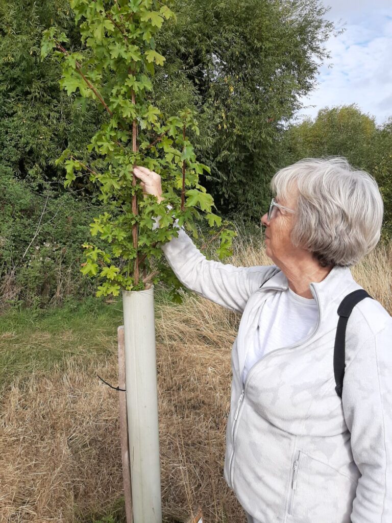 Sheila Hoeman Fogden